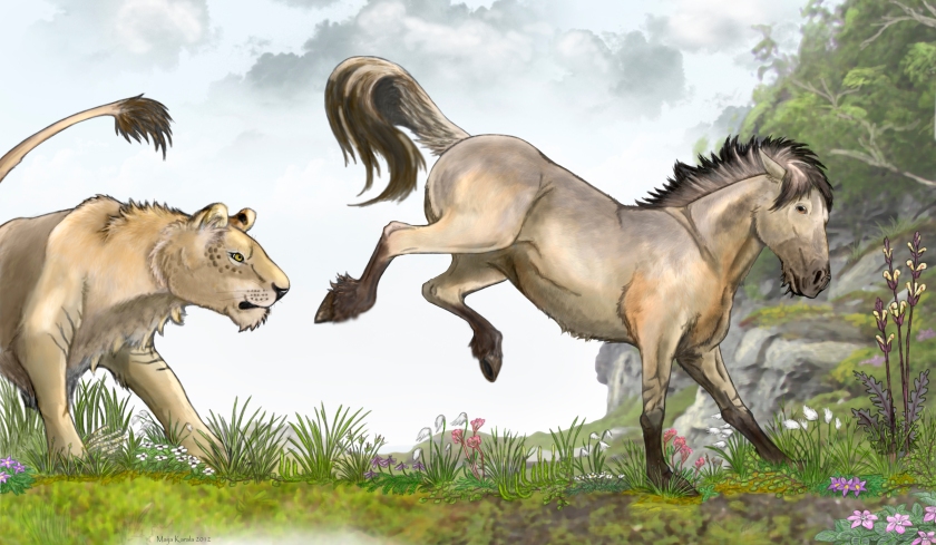 tarpaani villihevonen equus ferus maija karala
